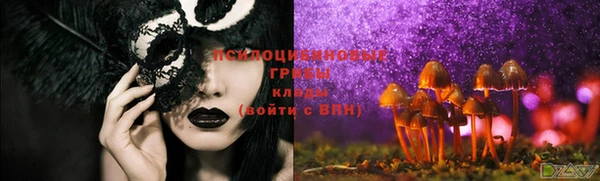 амф Арсеньев