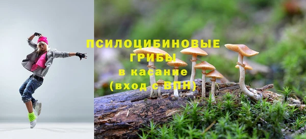 амф Арсеньев