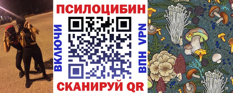 магазин продажи Пенза Галлюциногенные грибы Magic Shrooms