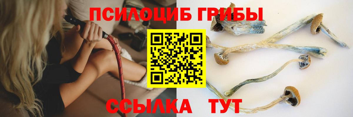 Пенза  Псилоцибиновые грибы Magic Shrooms  Вход с VPN 
