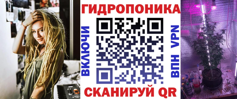 Конопля сатива  купить   Пенза 
